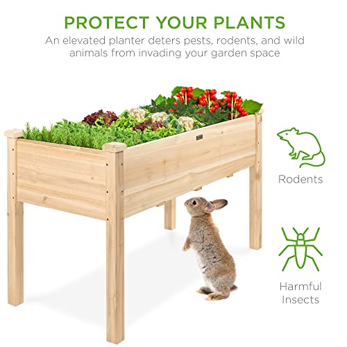 Best Raised Garden Bed For Deck: Smart Space-Saving Picks Best Raised Garden Bed For Deck