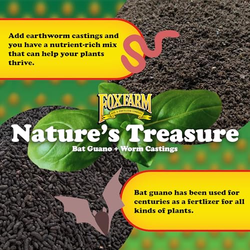 Best Garden Bed Soil: Top Choices For Healthy Plants Best Garden Bed Soil