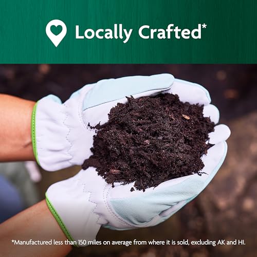 Best Raised Garden Bed Soil Mix: Perfect Blend Guide Best Raised Garden Bed Soil Mix