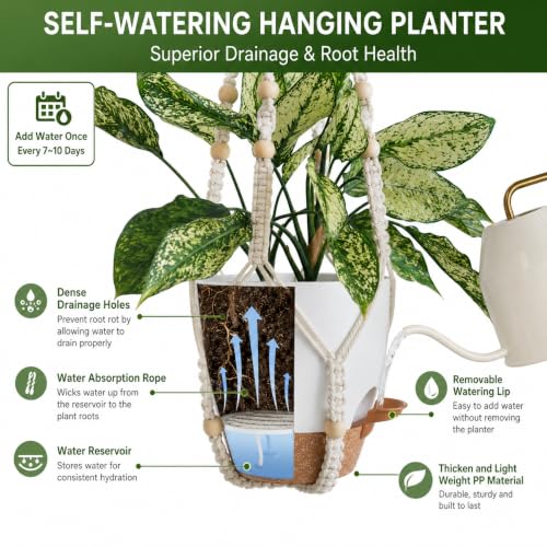 Best Indoor Hanging Planters: Stylish Picks For Every Home Best Indoor Hanging Planters