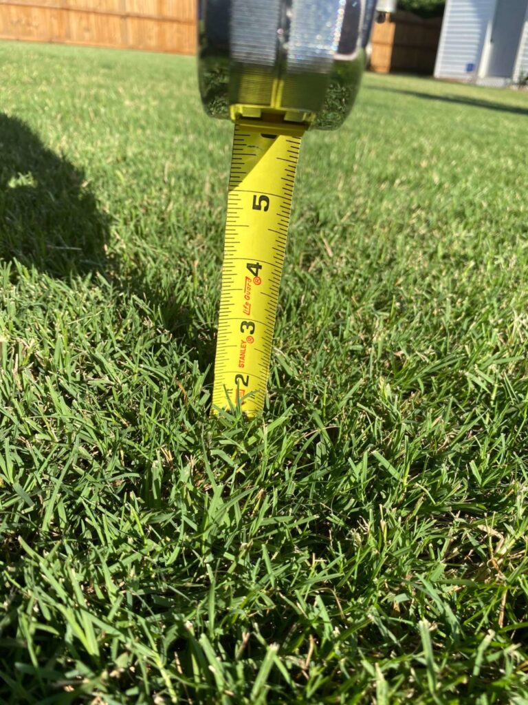Best Height To Cut Grass In Summer