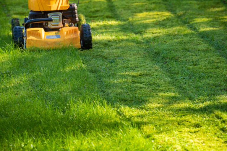 How Often Should You Mow In Spring: Best Mowing Schedule How Often Should You Mow In Spring