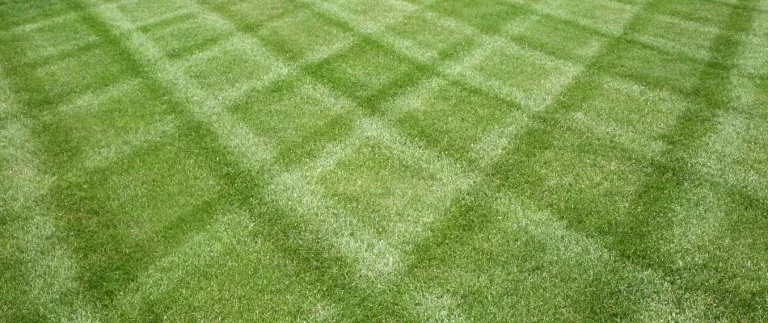 Mowing Pattern To Avoid Ruts: Best Lawn Care Tips Mowing Pattern To Avoid Ruts