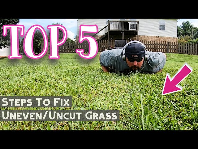Lawn Mower Cutting Unevenly: Causes And Easy Fixes Lawn Mower Cutting Unevenly