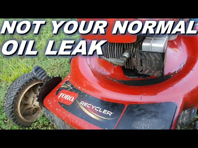Lawn Mower Leaking Oil From Bottom: Causes And Fixes Lawn Mower Leaking Oil From Bottom