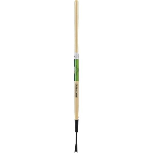 Top 10 Dandelion Weeder For 2026
