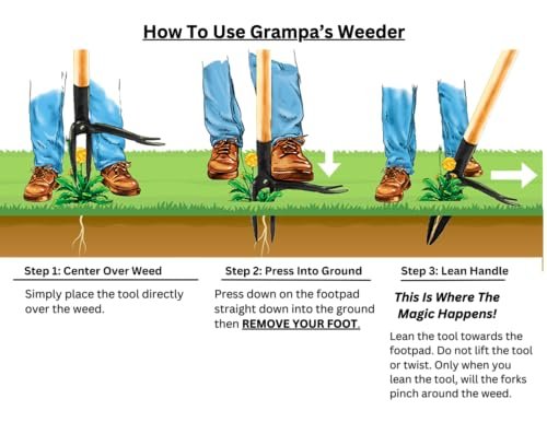 Best Tool For Removing Weeds From Gravel
