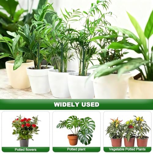 Best Climbing Plant Support