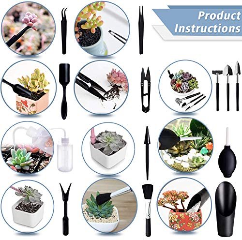 Best Transplanting Tool