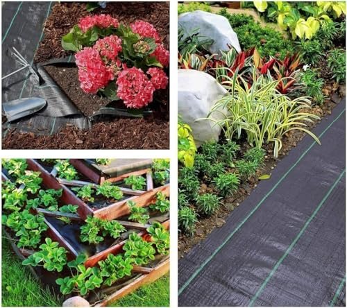 Best Garden Bed Material