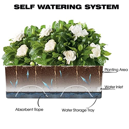 Best Self Watering Planters For Vegetables