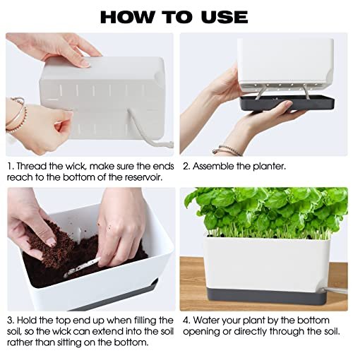 Best Self Watering Planters For Herbs