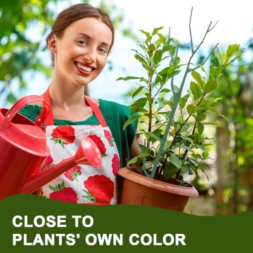 Top 10 Climbing Plant Support For 2026