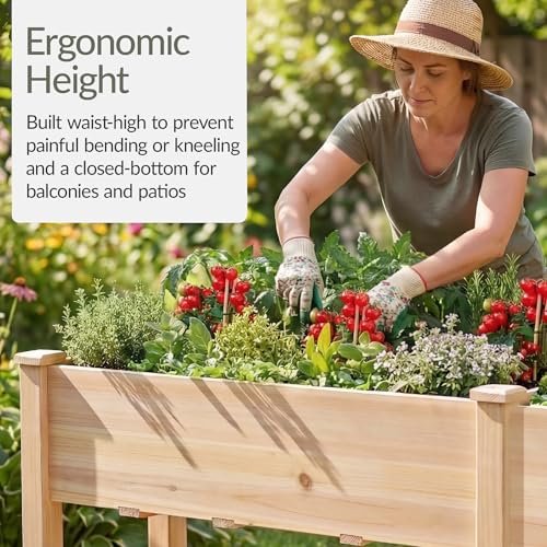 Best Raised Garden Bed Wood