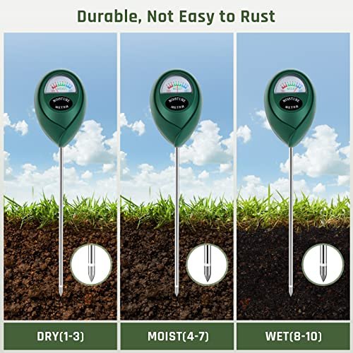 Best Soil Moisture Meter For Houseplants