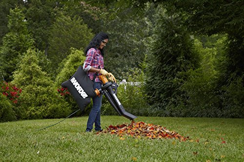Best Leaf Vacuum Mulchers