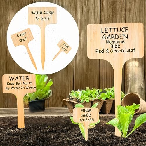 10 Best Plant Labels For 2026
