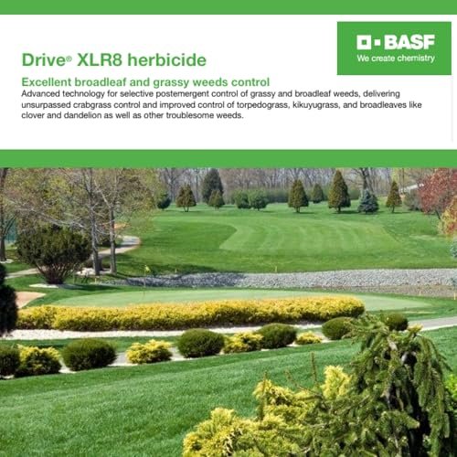 Best Crabgrass Killers