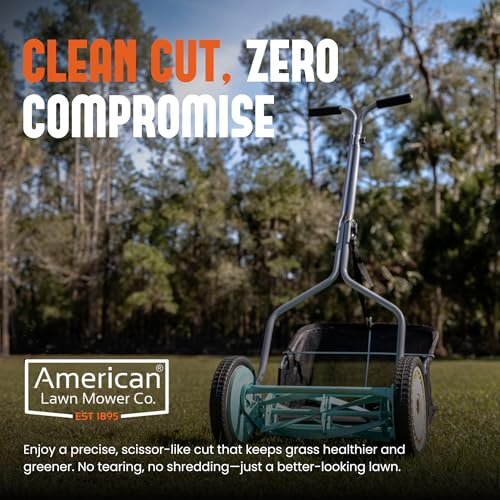 Best Lawn Mower For Bermuda Grass
