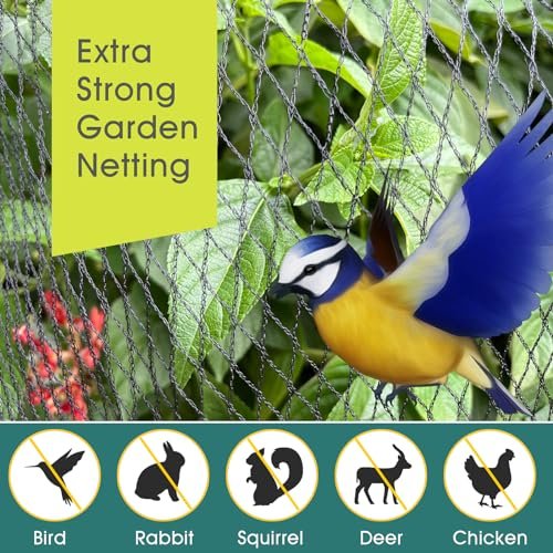 Best Bird Netting