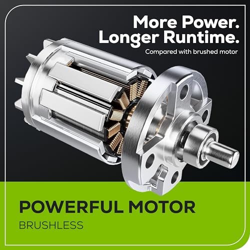Best Lawn Mower For Palmetto
