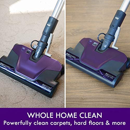 Best Rated Canister Vacuums