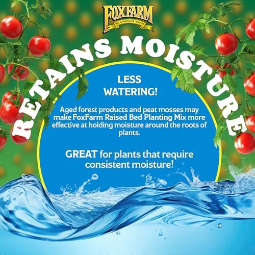 Best Raised Garden Bed Soil