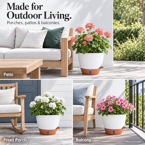 Best Self Watering Planters