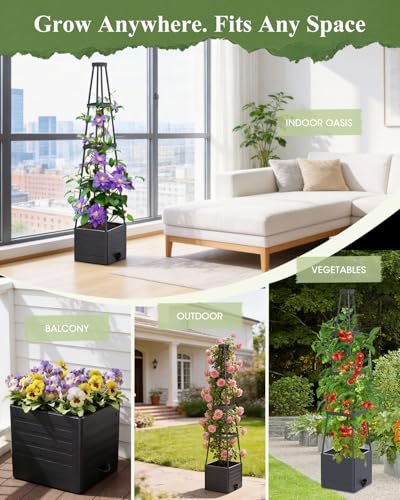 Best Self Watering Planters For Tomatoes