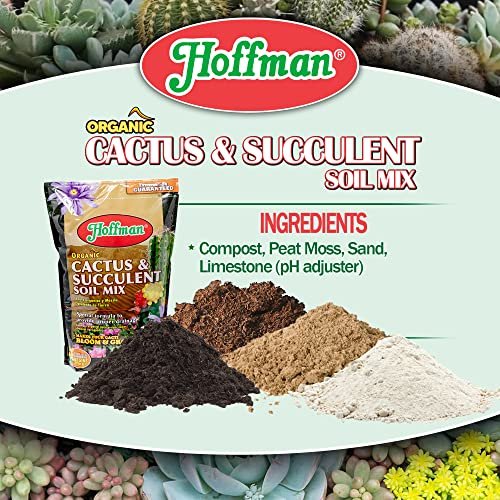 10 Best Succulent Soil Mix For 2026