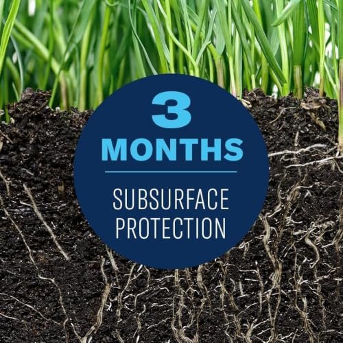 Best Insecticide For Lawns