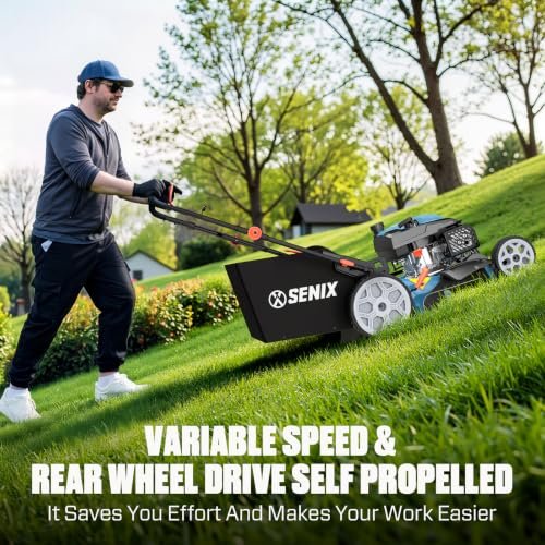 Best Lawn Mowers For Domestic Use