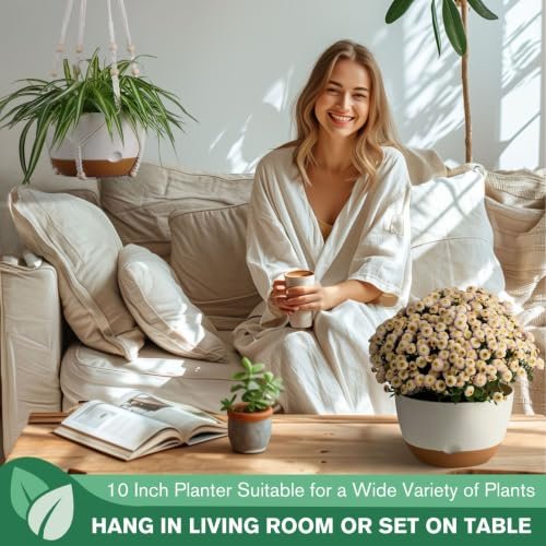 Best Indoor Hanging Planters