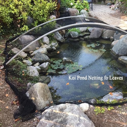 10 Best Bird Netting For 2026