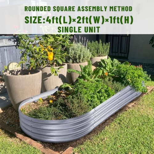 Best Garden Bed For Vegetables