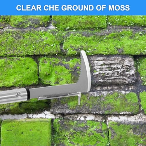Best Tool For Removing Weeds From Cracks