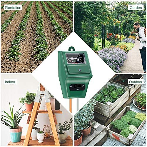 Best Soil Moisture Meter For Bonsai