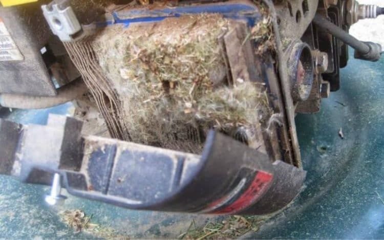 Lawn Mower Carburetor Cleaning Without Removing
