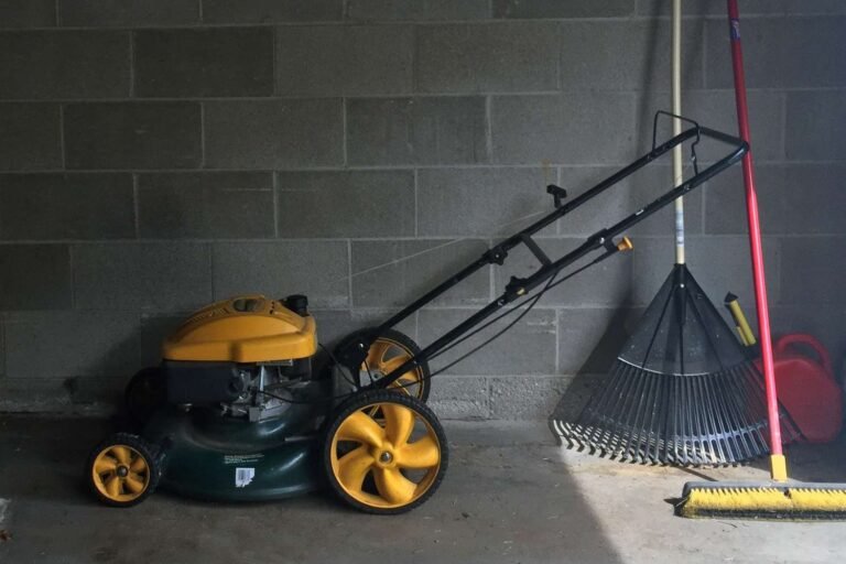 Should You Drain Gas From Lawn Mower Before Winter