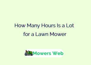 How Many Hours Is A Lot For A Lawn Mower