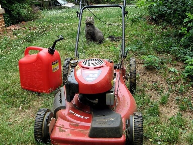 Lawn Mower Bad Gas