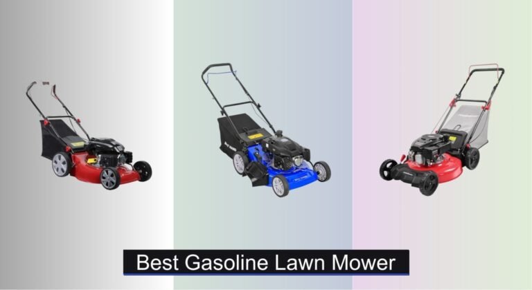 Can You Use Regular Gas In Lawn Mower