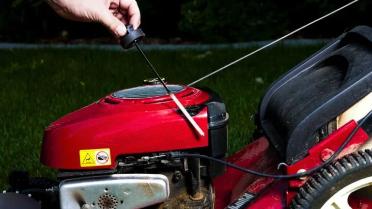 How To Check Lawn Mower Oil Level
