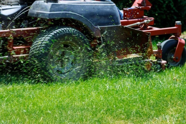 Lawn Mower Scalping Lawn