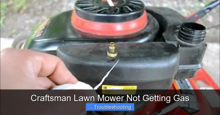 Craftsman Lawn Mower Not Getting Gas