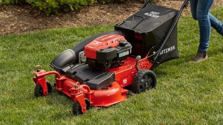 Oil For Gas Lawn Mower
