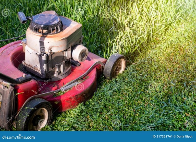 Can I Use Old Gas In My Lawn Mower