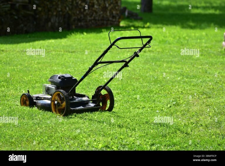 Old Gas In Lawn Mower