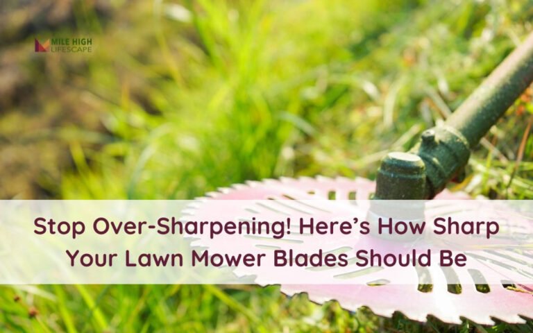 How Sharp Should A Lawn Mower Blade Be