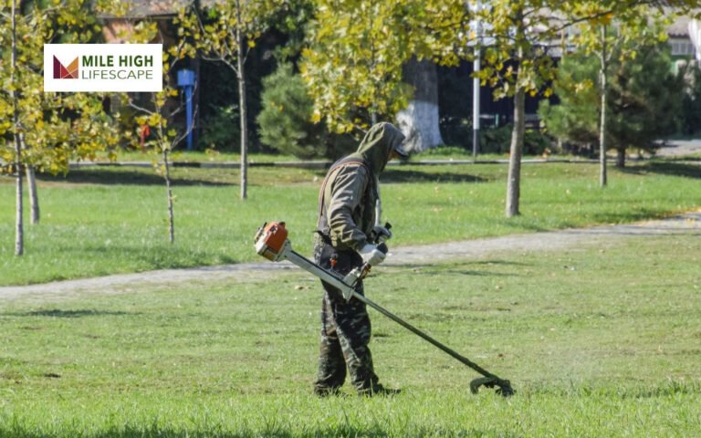 How Often Should You Mow In Spring